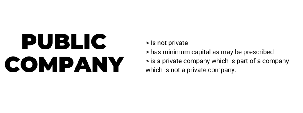 public company 