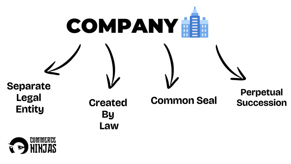 what is a company?